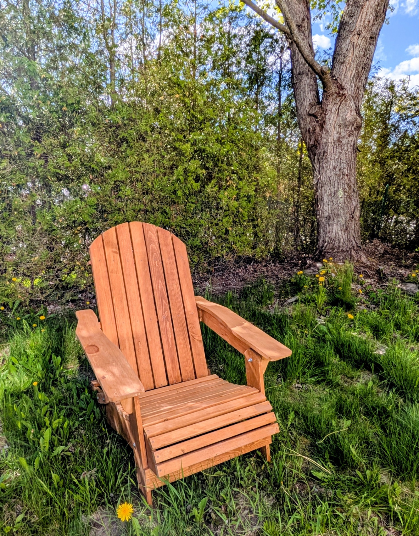 Chaise Adirondack pliante en bois teinté clair dans un jardin